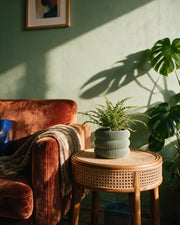 Wave Ring Planter – on a side table at golden hour