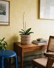 Wavy Ring Orchid Planter – styled on a console