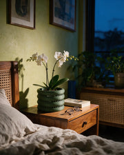 Window Band Orchid Planter – at night on a bedside table