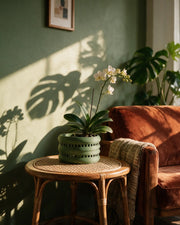 Window Band Orchid Planter – on a side table at golden hour