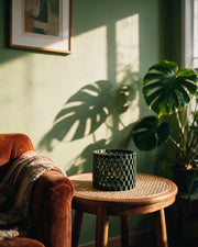 Woven Cage Planter – on a side table at golden hour