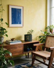 Woven Cage Planter – styled on a console