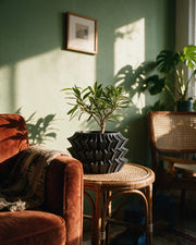 Zigzag Layer Planter – on a side table at golden hour