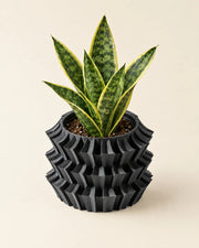 Zigzag Layer Planter – styled in use