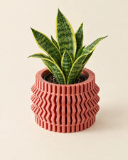 Zigzag Pleat Planter – styled in use