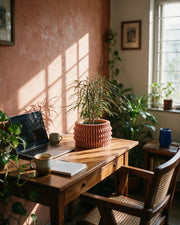 Zigzag Pleat Planter – on a work desk in morning sun